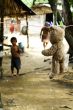Amazon Indian Child
