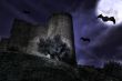 Castle in the night