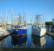 Prawn Trawlers At Dock