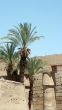 Luxor temple