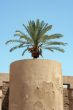 Luxor temple