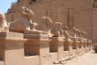 Luxor temple