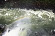 Iguassu (Iguazu; Igua