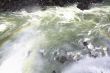 Iguassu (Iguazu; Igua