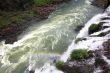Iguassu (Iguazu; Igua