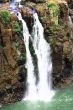 Iguassu (Iguazu; Igua