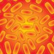 bacteria life