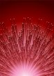 fibre red