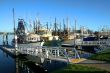 Shrimp and Fishing fleet at dock