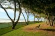 Beach Foreshore