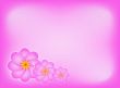 Flowers with border