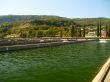 Trout farm