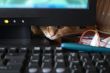 Cat And Computer