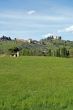 Montevecchia from below