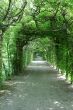 Arch in a garden