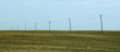 Farmer ploughed field