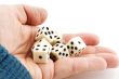 hand with dices