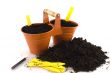 Gardening
