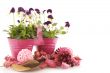 pink in springtime