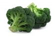 broccoli on white,