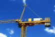 yellow crane #3