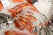 fish on fishmonger`s slab