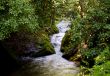 Rushing River through narrow gorge