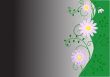Floral background