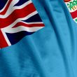Fiji Flag Closeup