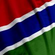 Gambian Flag Closeup
