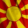 Macedonian Flag Closeup