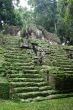 Tropical maya stairs