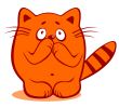 timid cat