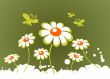 ornate spring flowers