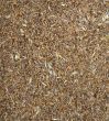 Grain of wheat