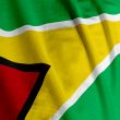 Guyanese Flag Closeup