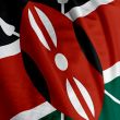 Kenyan Flag Closeup