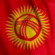 Kyrgyz Flag Closeup