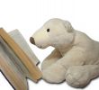 reading teedy bear