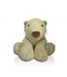 music teddy bear
