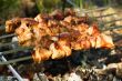 Shishkebab