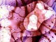 abstract background