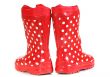 water-proof boots