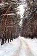 Snow road