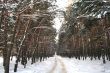 Snow road