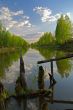 Dream of fisherman. Evening ashore lake
