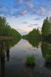 Dream of fisherman. Twilights ashore lake