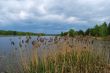 Dream of fisherman. Wild lake