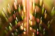 Abstraction, drops
