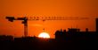 Crane and the sun